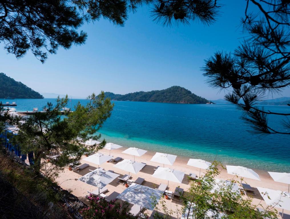 Photo of D-Resort Gocek in Fethiye, Turkey