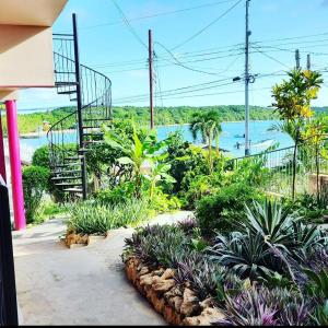 Photo #6 of The Seaside Garden Guesthouse in Tobago, Trinidad and Tobago