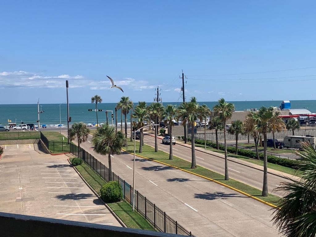 Photo #1 of Nautical Nights! in Galveston, TX