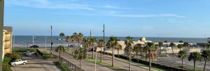 Photo #6 of Dockside Daze! in Galveston, TX