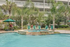 Photo #4 of CDM 204 - Turtle-y Awesome in Galveston, TX
