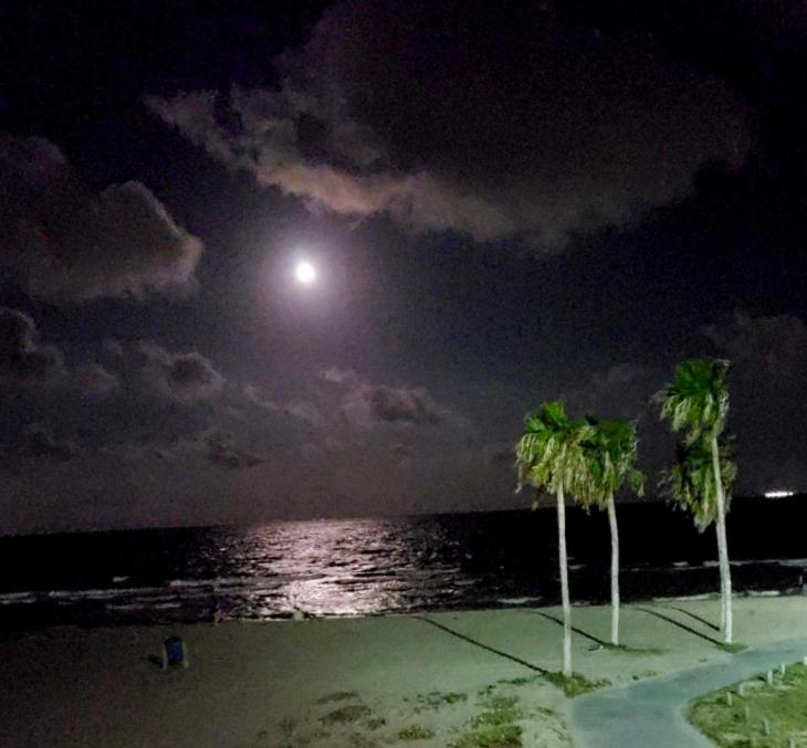 Photo #1 of Spectacular Beach View! in Corpus Christi, TX