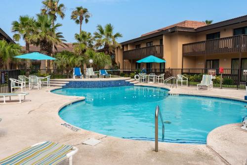 Photo #3 of Flamingos Hideaway Stylish 1BR Coastal Escape 155 in South Padre Island, TX