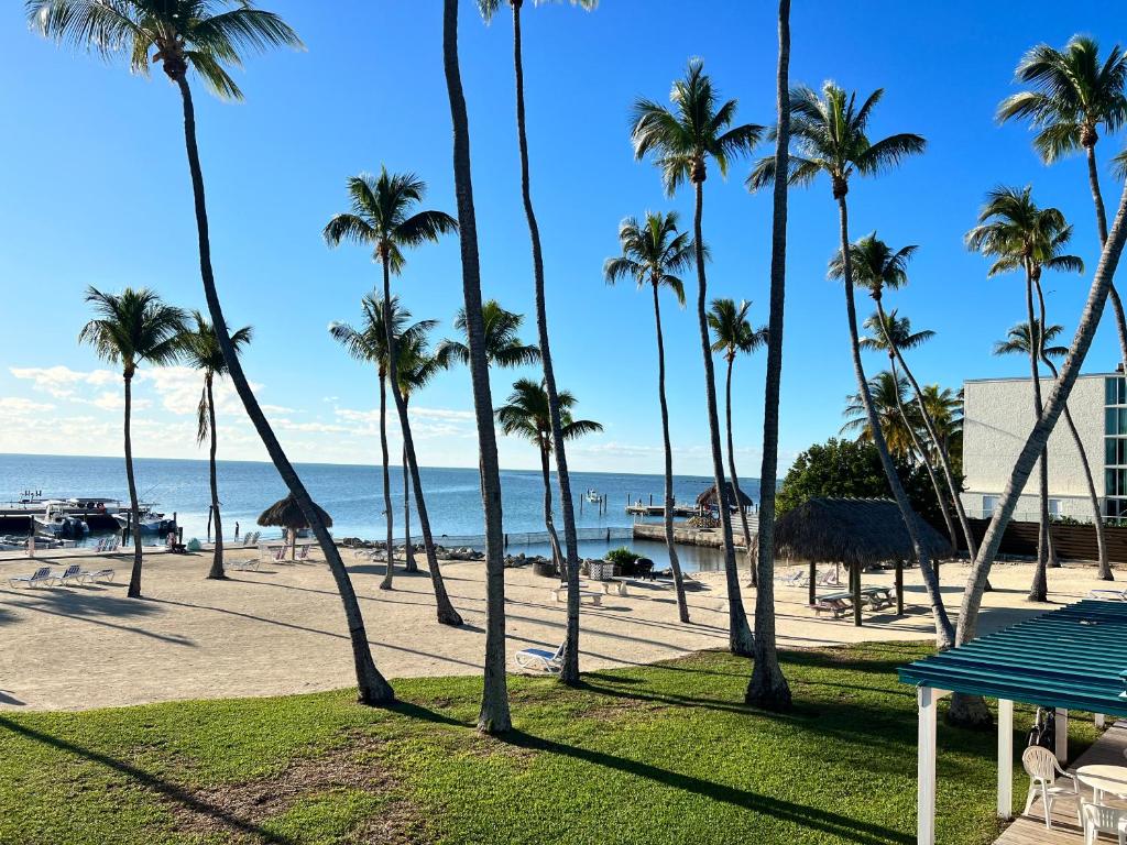 Photo of Breezy Palms Resort in Islamorada, FL