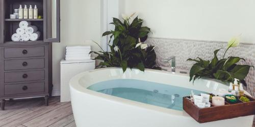 Photo #3 of Pelican Grand Beach Resort, a Noble House Resort in Fort Lauderdale, FL