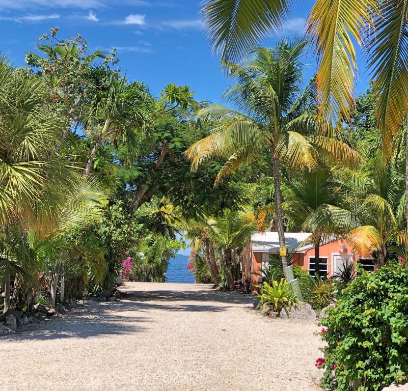 Photo of The Pelican Key Largo Cottages in Key Largo, FL