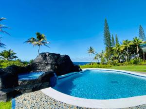 Photo #4 of Wild Blue Water in Pāhoa, HI