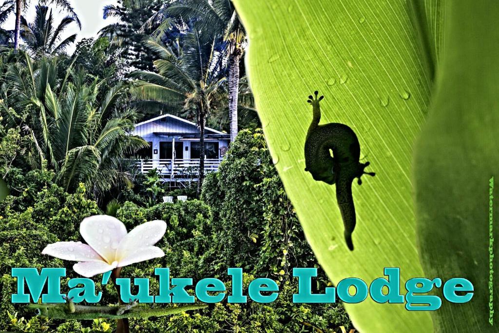 Photo of Ma'ukele Lodge in Pāhoa, HI