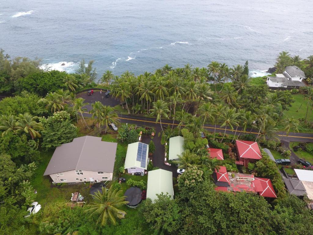 Photo of Oceanfront Cottage Near the Kalapana Lava Flows in Pāhoa, HI