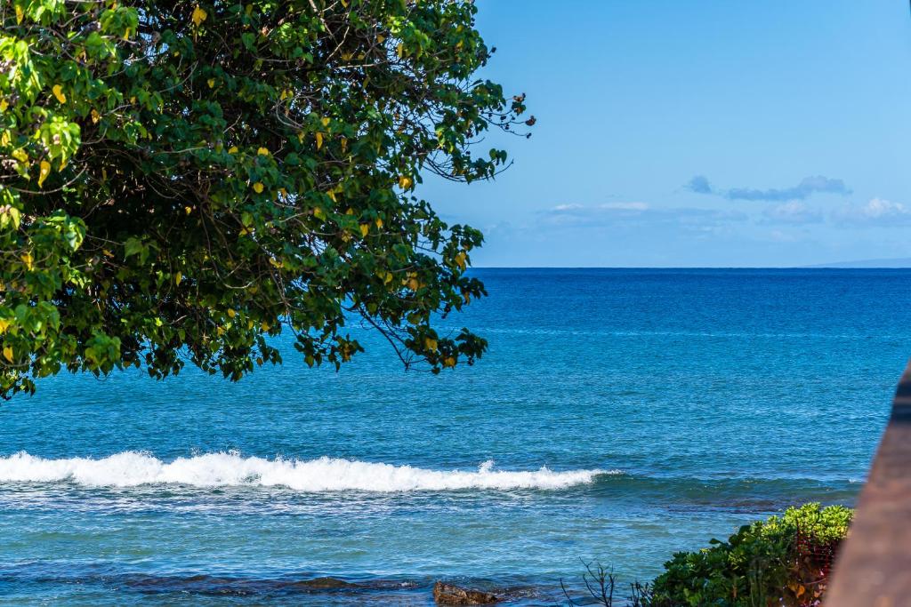 Photo #1 of Hale Kai 208 in Lahaina, HI