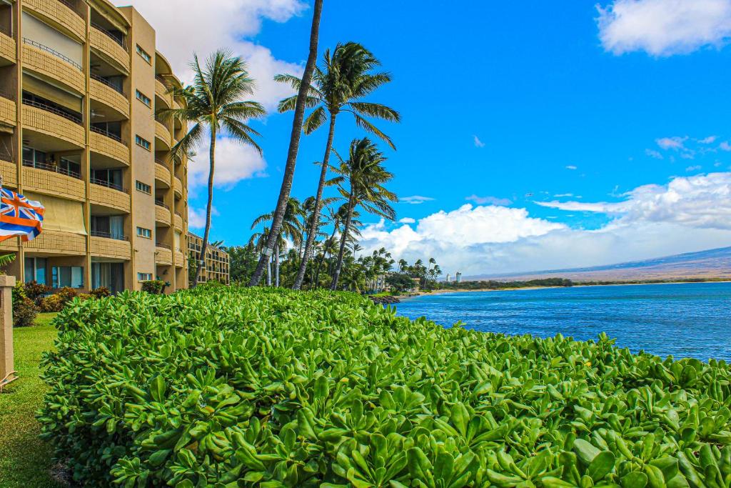 Photo of Island Sands Resort in Wailuku, HI