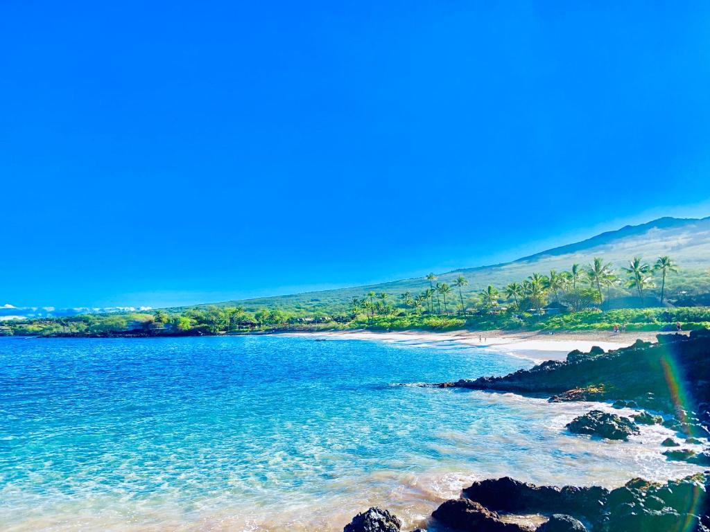 Photo of Campervan/Maui hosted by Go Camp Maui in Kahului, HI