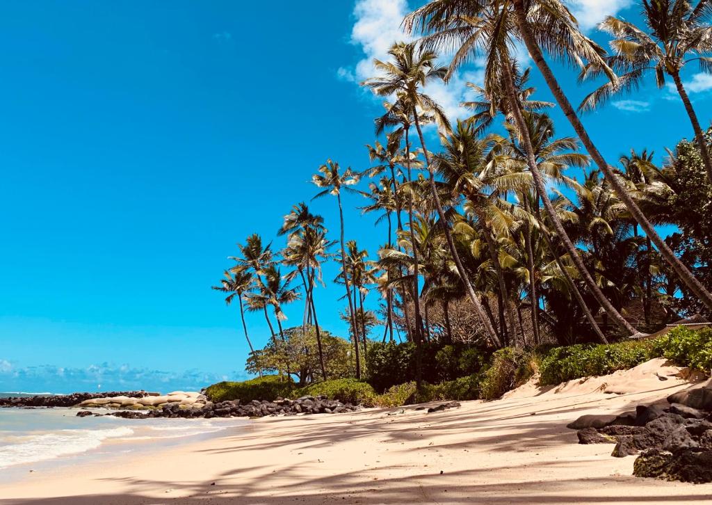 Photo of Go Camp Maui-Exploring Maui in a Campervan in Kahului, HI