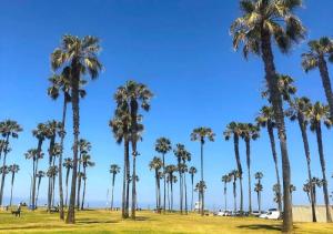 Photo #6 of 2 Free Bikes, Pvt Parking, Steps to Beach! South Mission Beach in San Diego, CA