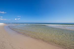 Photo #5 of Island Royale P 301 in Gulf Shores, AL