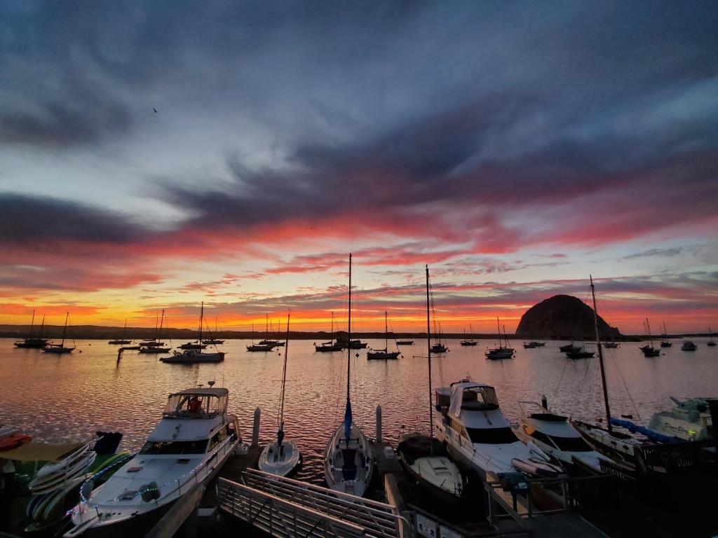 Photo of Gray's Inn & Gallery in Morro Bay, CA