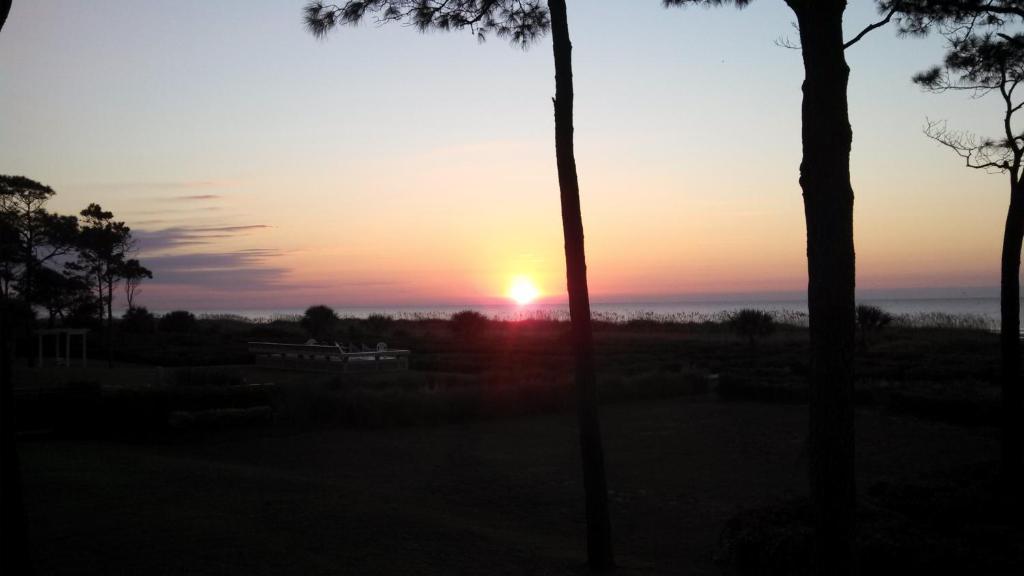 Photo of Nothing But Ocean in Forest Beach in Hilton Head Island, SC