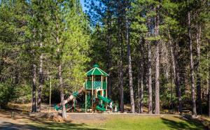 Photo #6 of Lake of the Springs Camping Resort Yurt 2 in Oregon House, CA