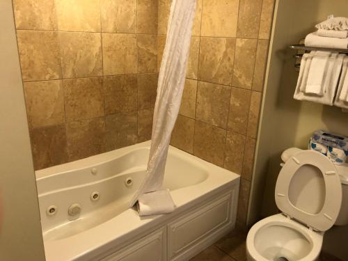 Photo #3 of Sandy Beach Resort in Myrtle Beach, SC