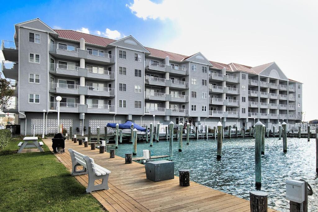 Photo #1 of White Marlin in Ocean City, MD