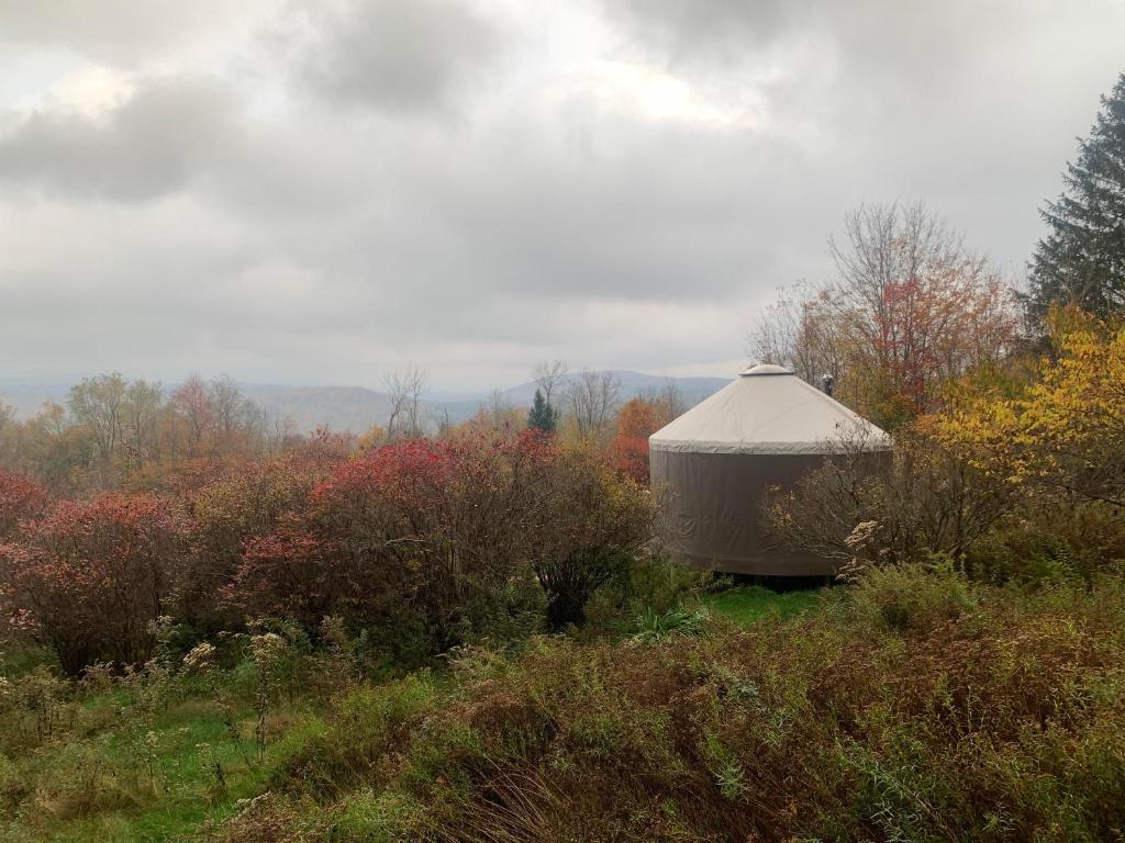 Photo of Livingston Manor YURT in Parksville, NY