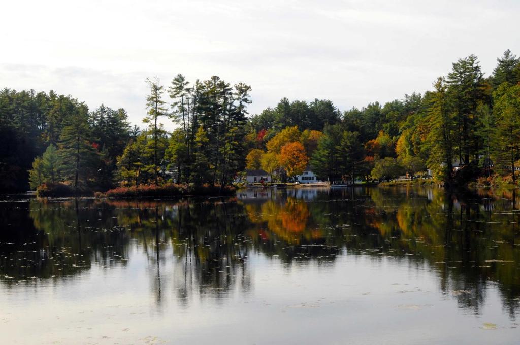 Photo of Purity Spring Resort in Madison, NH