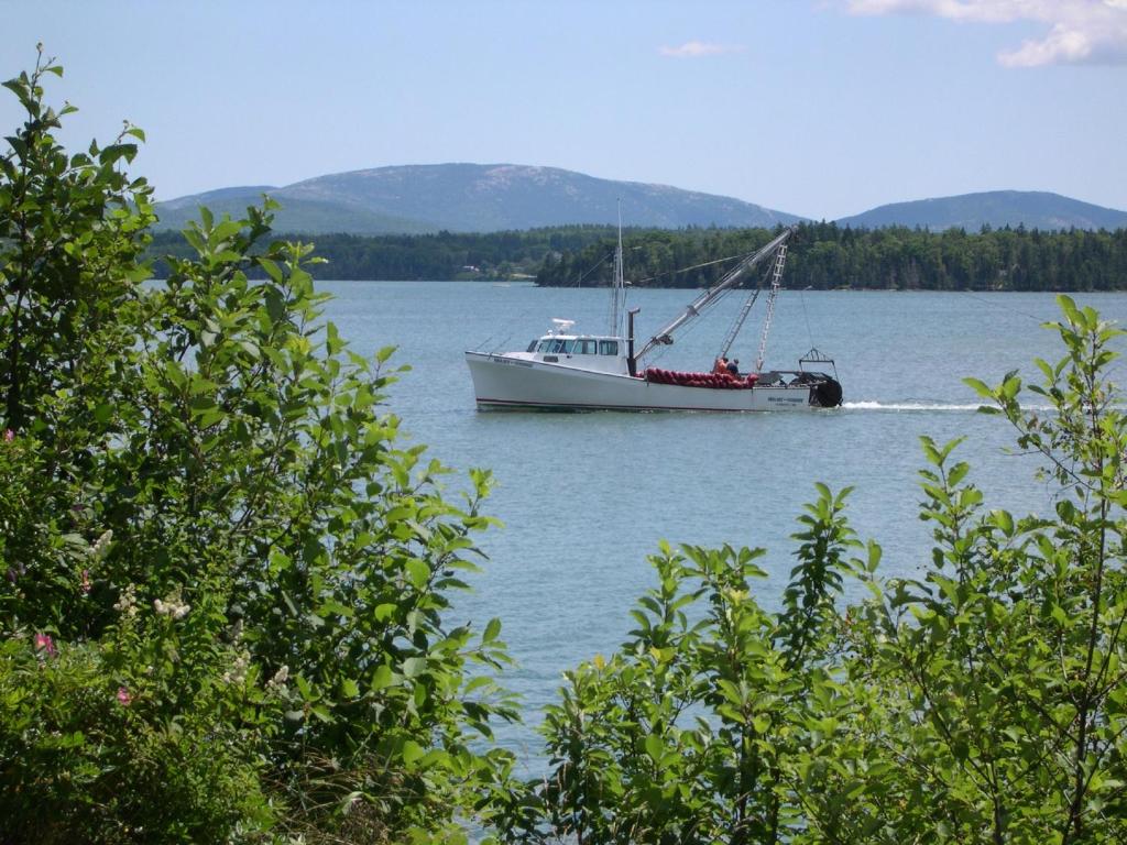 Photo of Narrows Too Camping Resort Cabin 6 in Trenton, ME