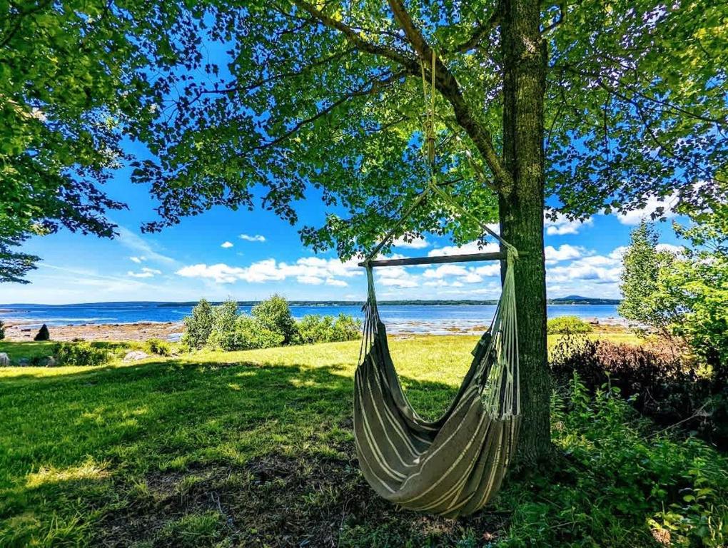 Photo of Tiny Trenton Beach House in Trenton, ME