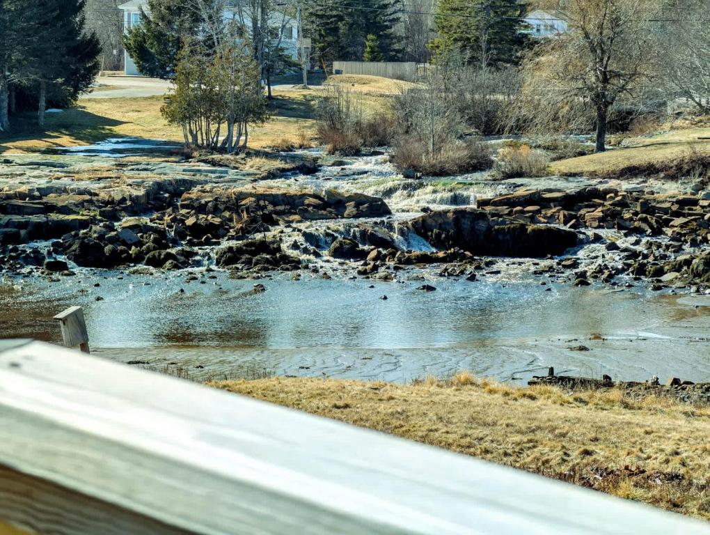 Photo of Waterfall Sea Cottage Family fire pit waterfront sleeps 4 in Gouldsboro, ME