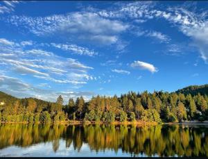 Photo #6 of Bluebird Cabin in Crestline, CA