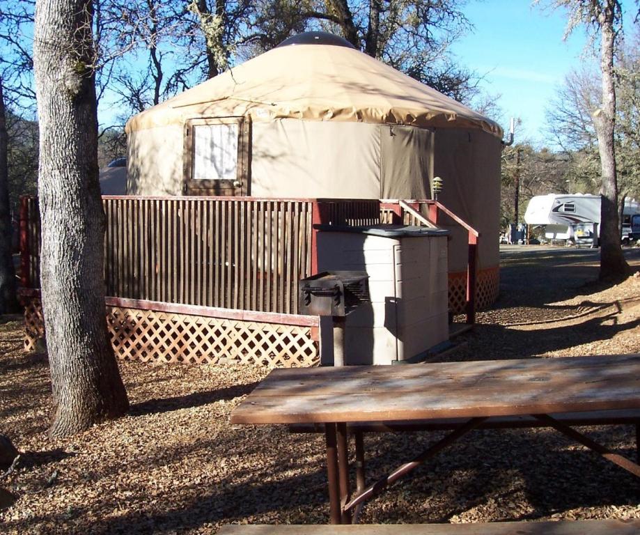 Photo of Lake of the Springs Camping Resort Yurt 1 in Oregon House, CA