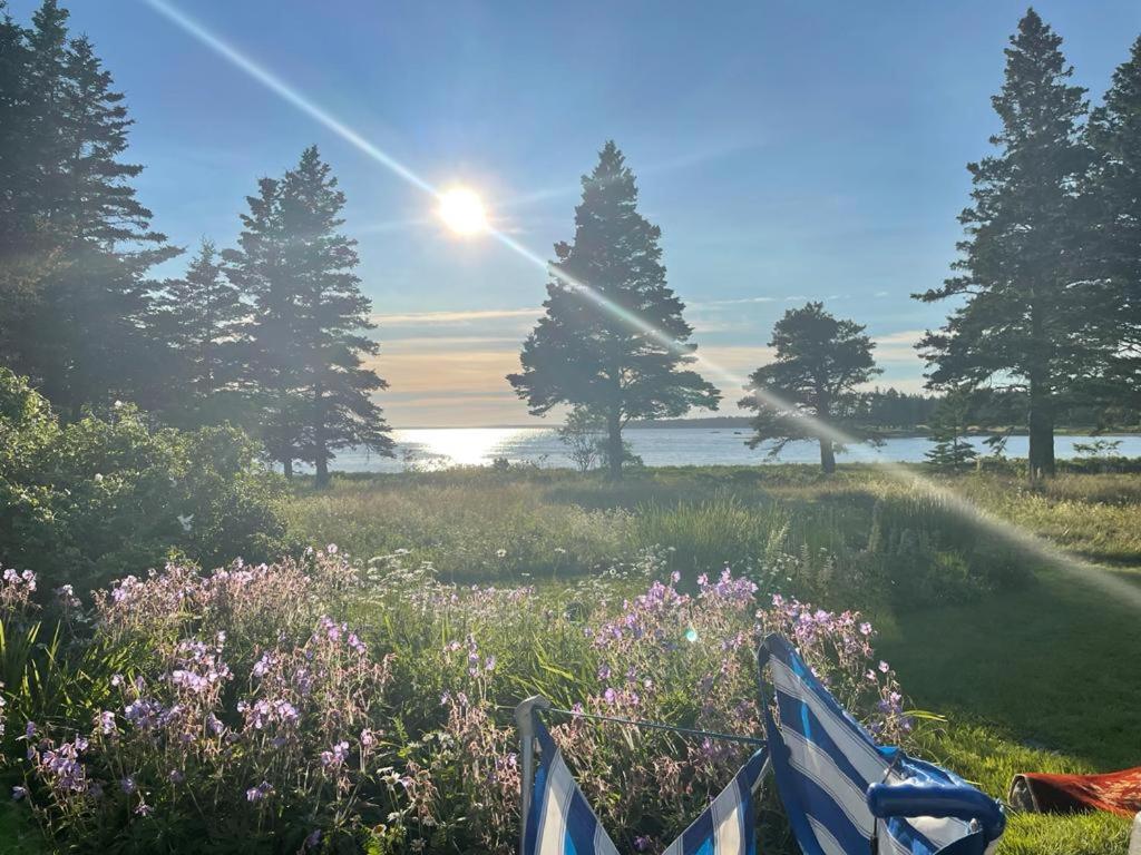 Photo of The Barnacle Cottage near Acadia in Tremont, ME