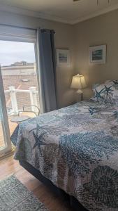 Photo #6 of Surf City Adventure Tours Compound in Huntington Beach, CA