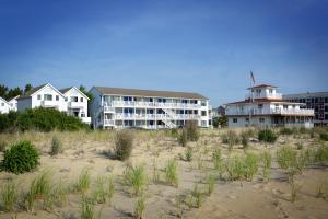 Photo #5 of Adams Ocean Front Resort in Dewey Beach, DE