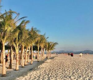 Photo #4 of Ruby Halong 6 Hotel in Thành phố Hạ Long, Vietnam
