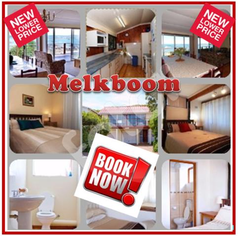 Photo #1 of Melkboom in Franskraal, South Africa