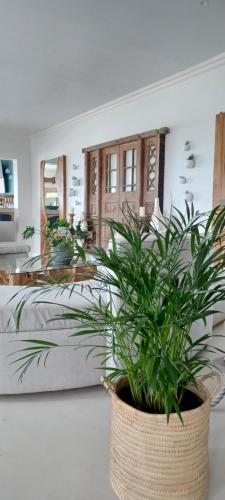 Photo #2 of Chateau de Marine Boutique Hotel & Wellness in Struisbaai, South Africa